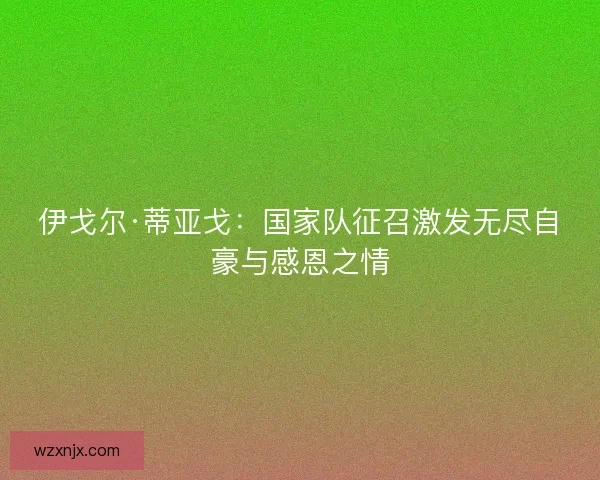 伊戈尔·蒂亚戈：国家队征召激发无尽自豪与感恩之情